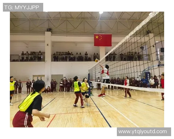 西安排球队节奏的奥秘与排球深度解析