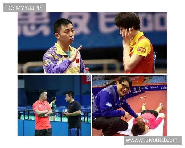 南京乒乓球队力量表现的数据分析与训练策略探讨